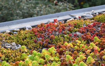 the cost of Wester Eggie green roof installation