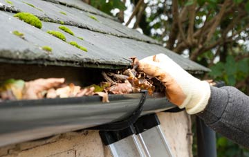 gutter cleaning Wester Eggie, Angus