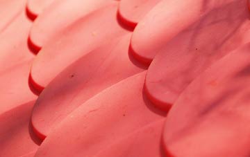 Wester Eggie plastic roof costs