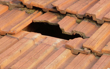 roof repair Wester Eggie, Angus